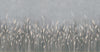 Swaying Wheat Field Wall Mural, Gray Blue Windy Wheat Wallpaper, Large Nature Custom Size Wall Covering, Non-Woven, Non-Pasted, Removable, Washable - Walloro High End Wallcoverings & More