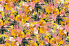 Oil Painted Floral Wallpaper, Seamless Pattern Mural, Oversized Custom Size Wall Art, Non-Woven, Non-Adhesive, Modern Wall Paper, Removable