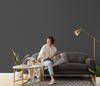 Charcoal Gray Wallpaper, Matte Gray Wallpaper, Modern & Minimalist Wall Covering,Modern Look Neutral Colors Glittering Wallcovering